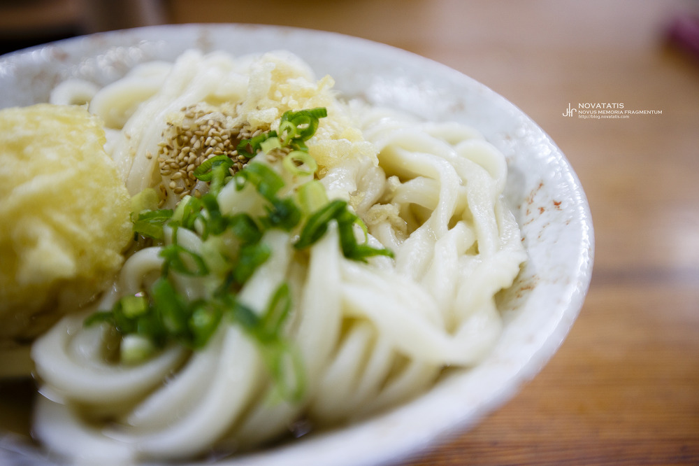 일본 전국 여행 - 36. 두 번째 맛보는 우동현 우동